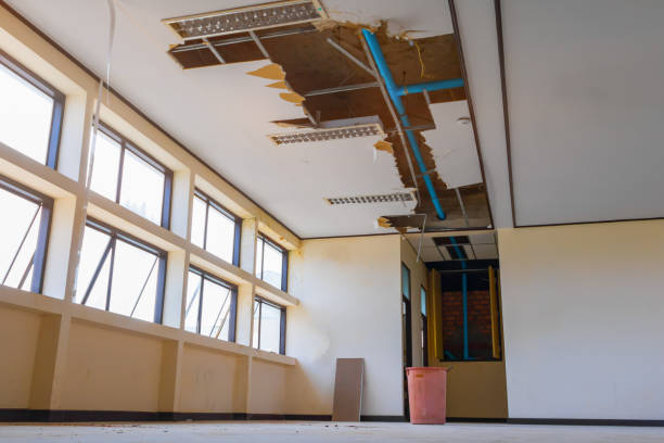 Reliable Biola, CA Water damage restoration Solutions
