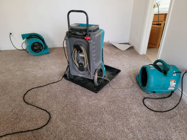 Best Water damage cleanup near me  in Biola, CA