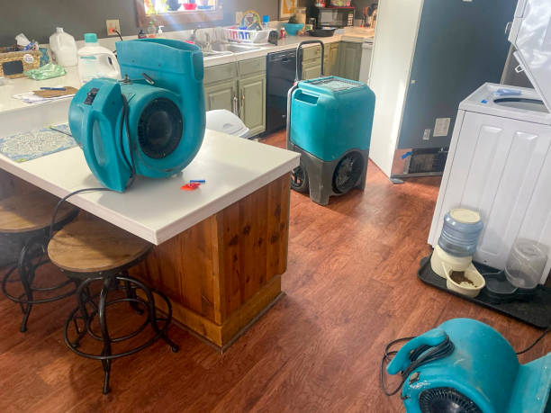 Best Water damage cleanup near me  in Biola, CA