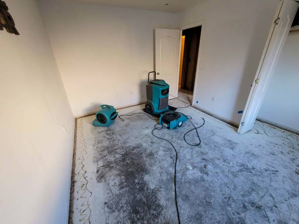 Best Residential water damage restoration  in Biola, CA