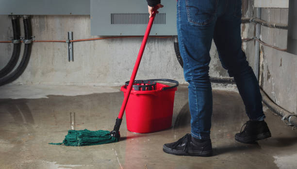 Best Carpet water damage restoration  in Biola, CA