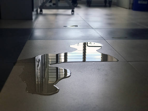 Best 24-hour water damage restoration  in Biola, CA