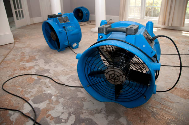Best Flooded house restoration  in Biola, CA