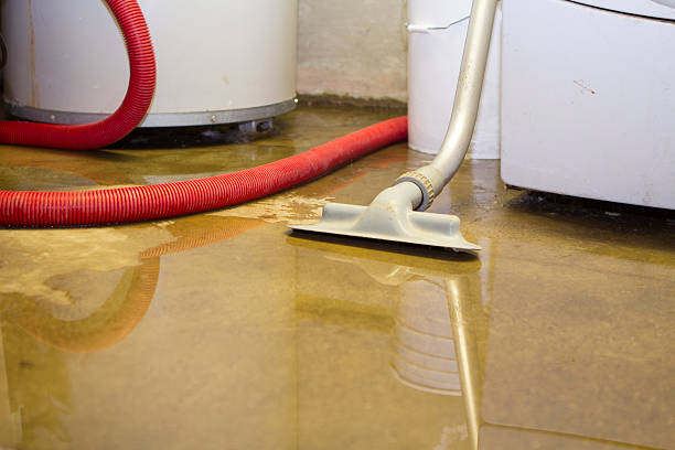 Best Water damage contractors near me  in Biola, CA