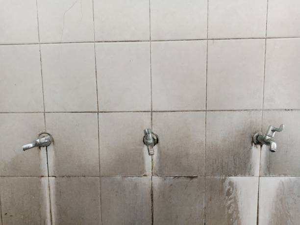 Best Sewage cleanup and water damage restoration  in Biola, CA