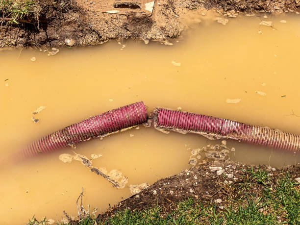 Best Emergency water damage restoration  in Biola, CA