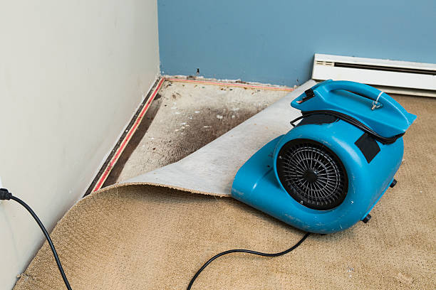 Best Flood damage cleanup  in Biola, CA
